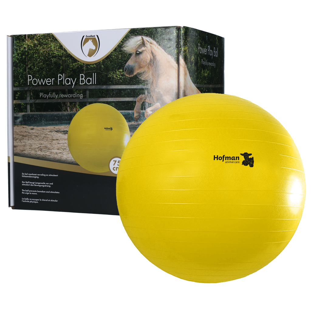 Maximus Power Play Ball