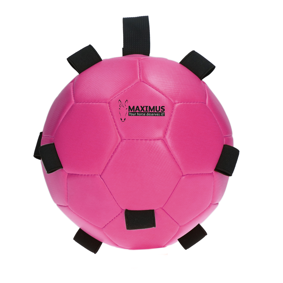 Excellent Horse Fun Play Ball