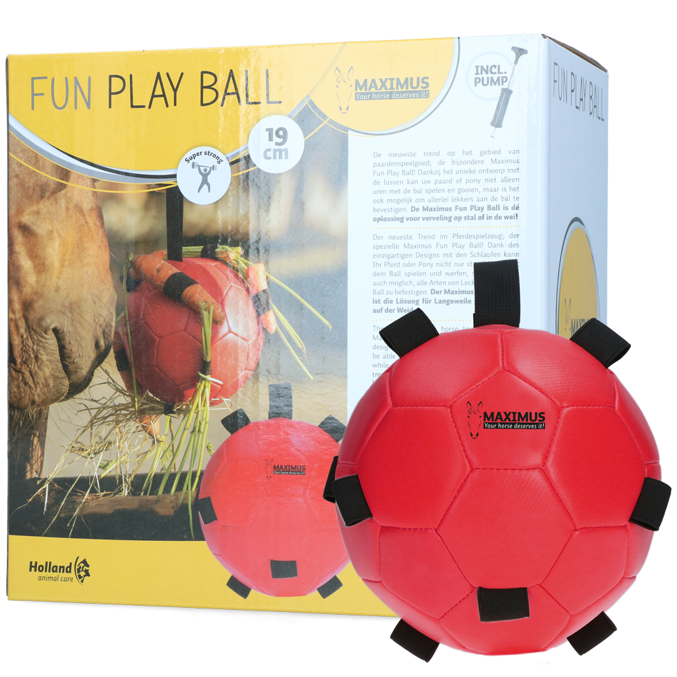 Excellent Horse Fun Play Ball