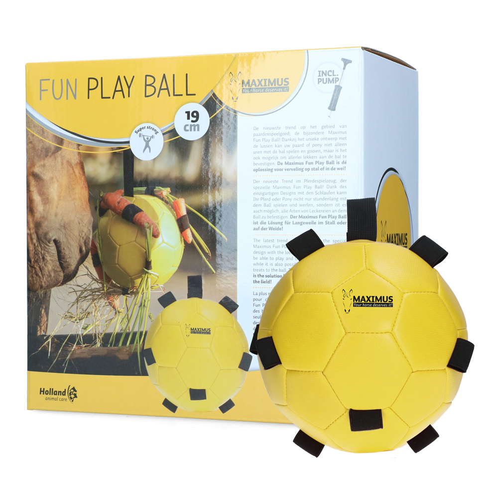 Excellent Horse Fun Play Ball