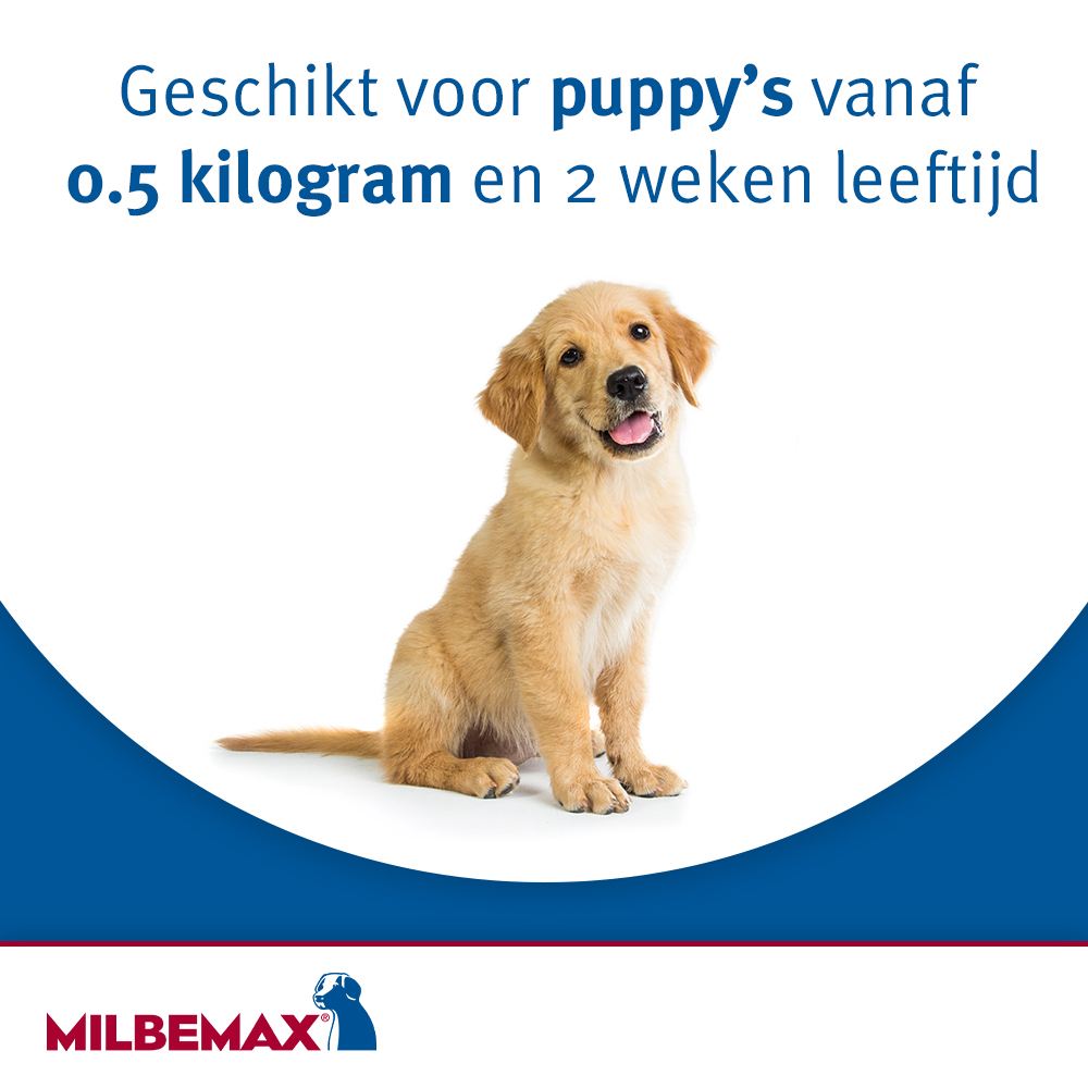 Milbemax Tabletten Puppy/Kleine hond <5kg