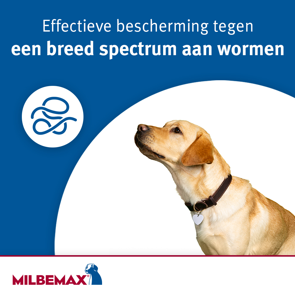 Milbemax Tabletten Hond Groot 5-75kg