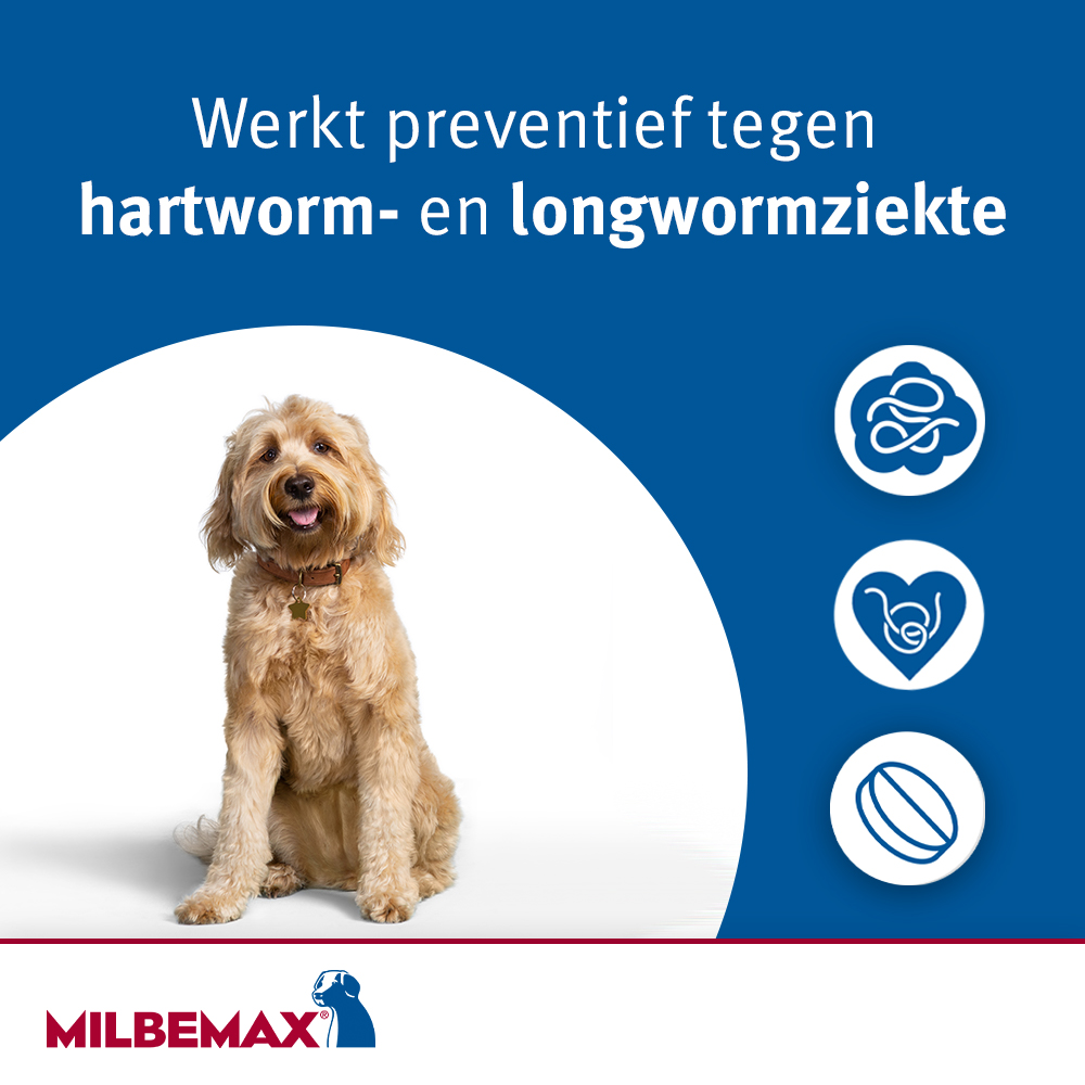 Milbemax Tabletten Hond Groot 5-75kg