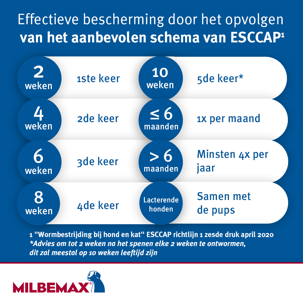 Milbemax Tabletten Hond Groot 5-75kg