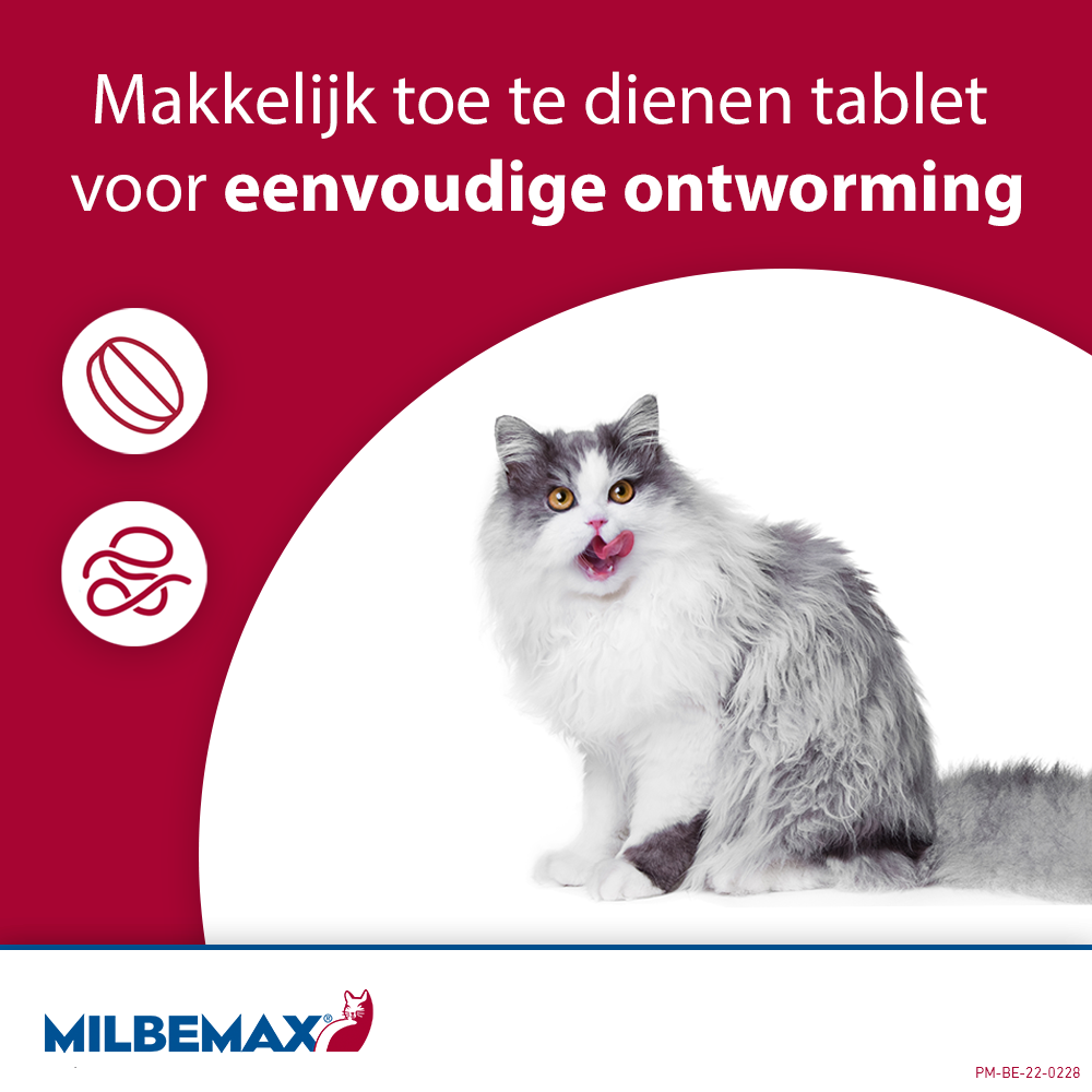 Milbemax Tabletten Kitten/Kat Klein ≥0,5-2kg 2 tabl. tabl.