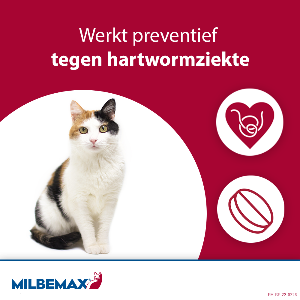 Milbemax Tabletten Kitten/Kat Klein ≥0,5-2kg 2 tabl.