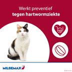 Milbemax Tabletten Kitten/Kat Klein ≥0,5-2kg 2 tabl.