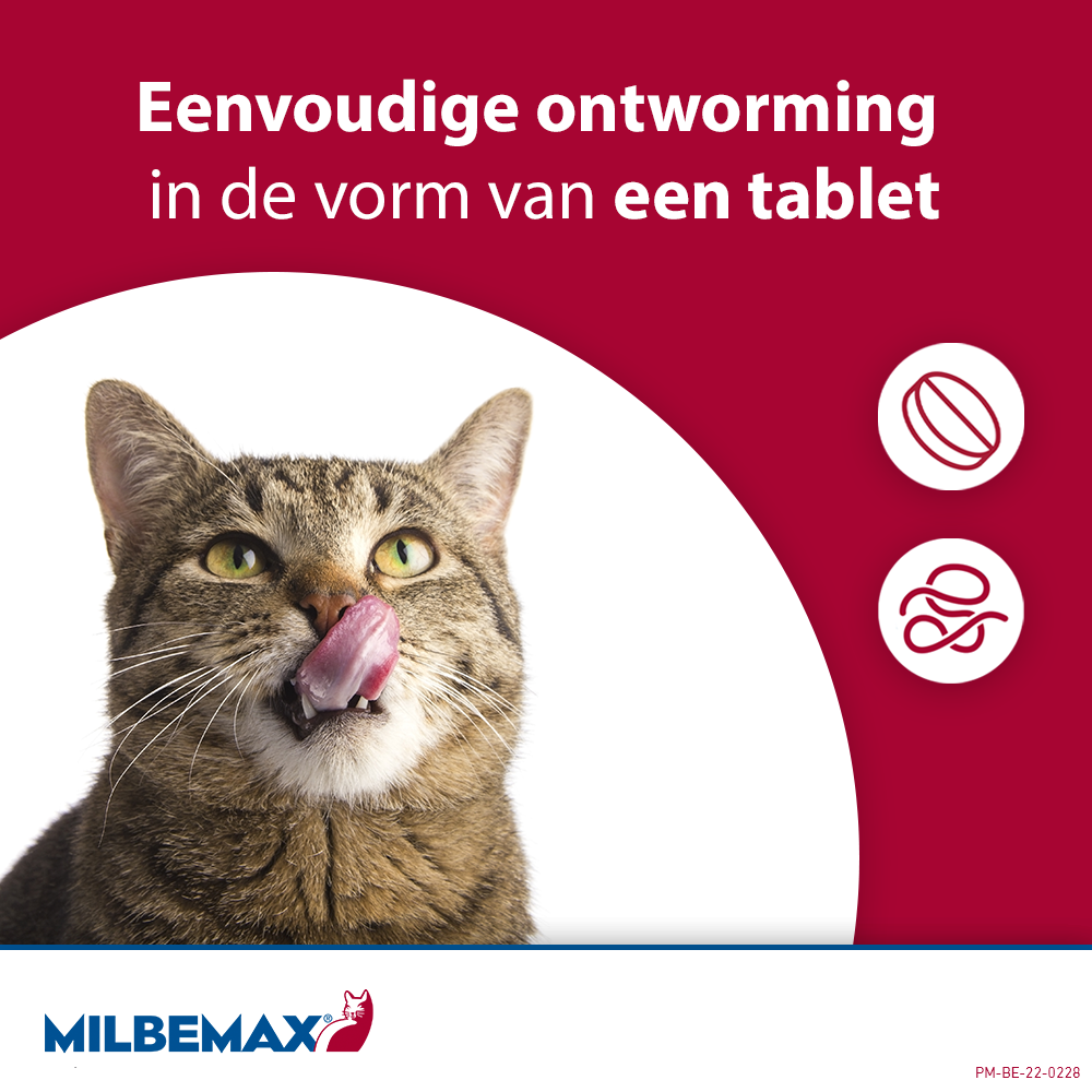 Milbemax Tabletten Kitten/Kat Klein ≥0,5-2kg 2 tabl.