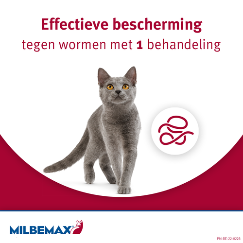 Milbemax Tabletten Kat Groot >2kg