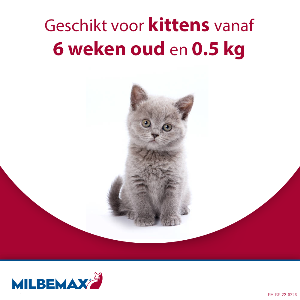 Milbemax Tabletten Kat Groot >2kg