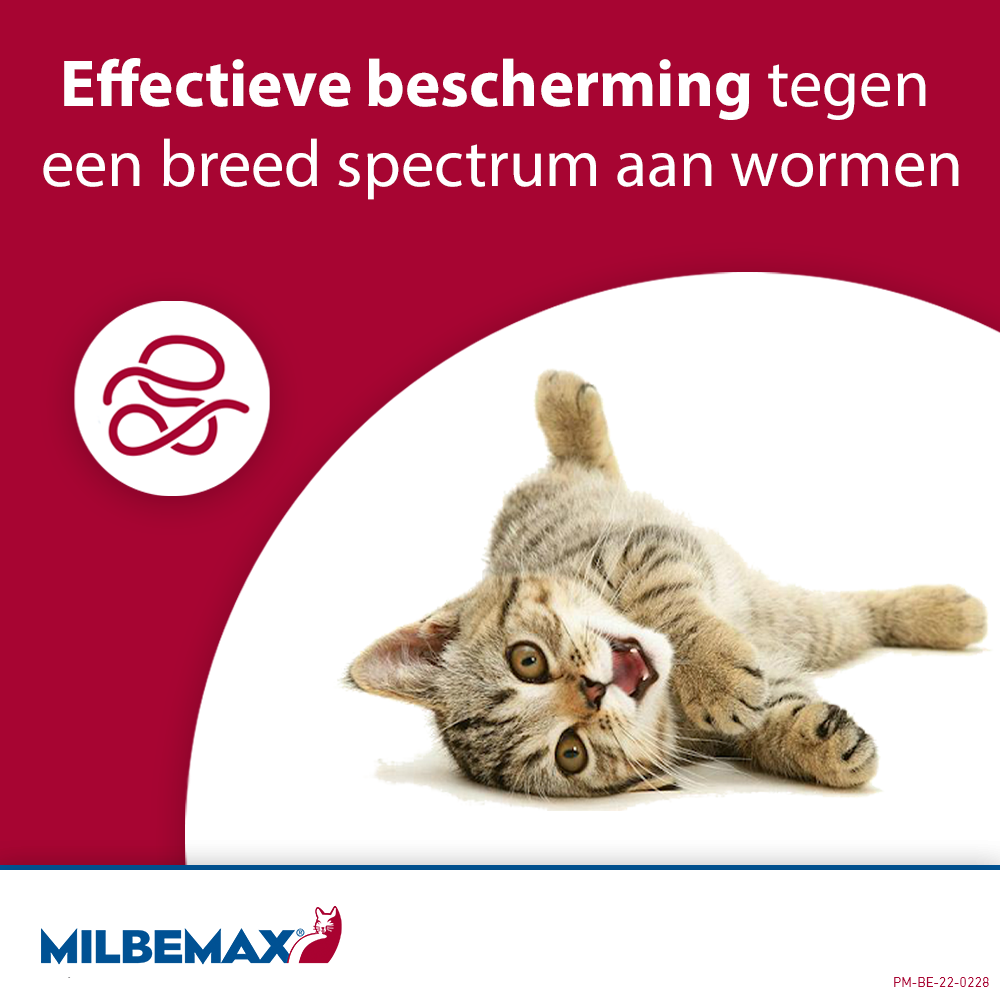 Milbemax Tabletten Kat Groot >2kg