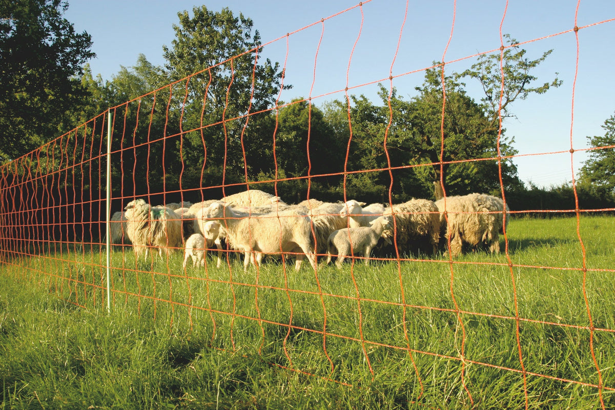 Euro-Netz Combi 106 cm dubbelpunt