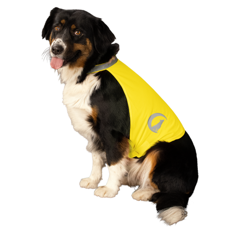 Nightwalk Safety Vest