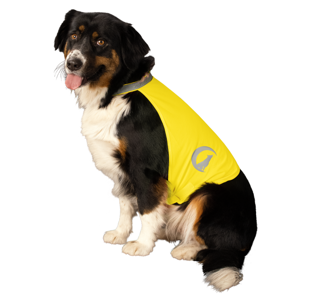 Nightwalk Safety Vest