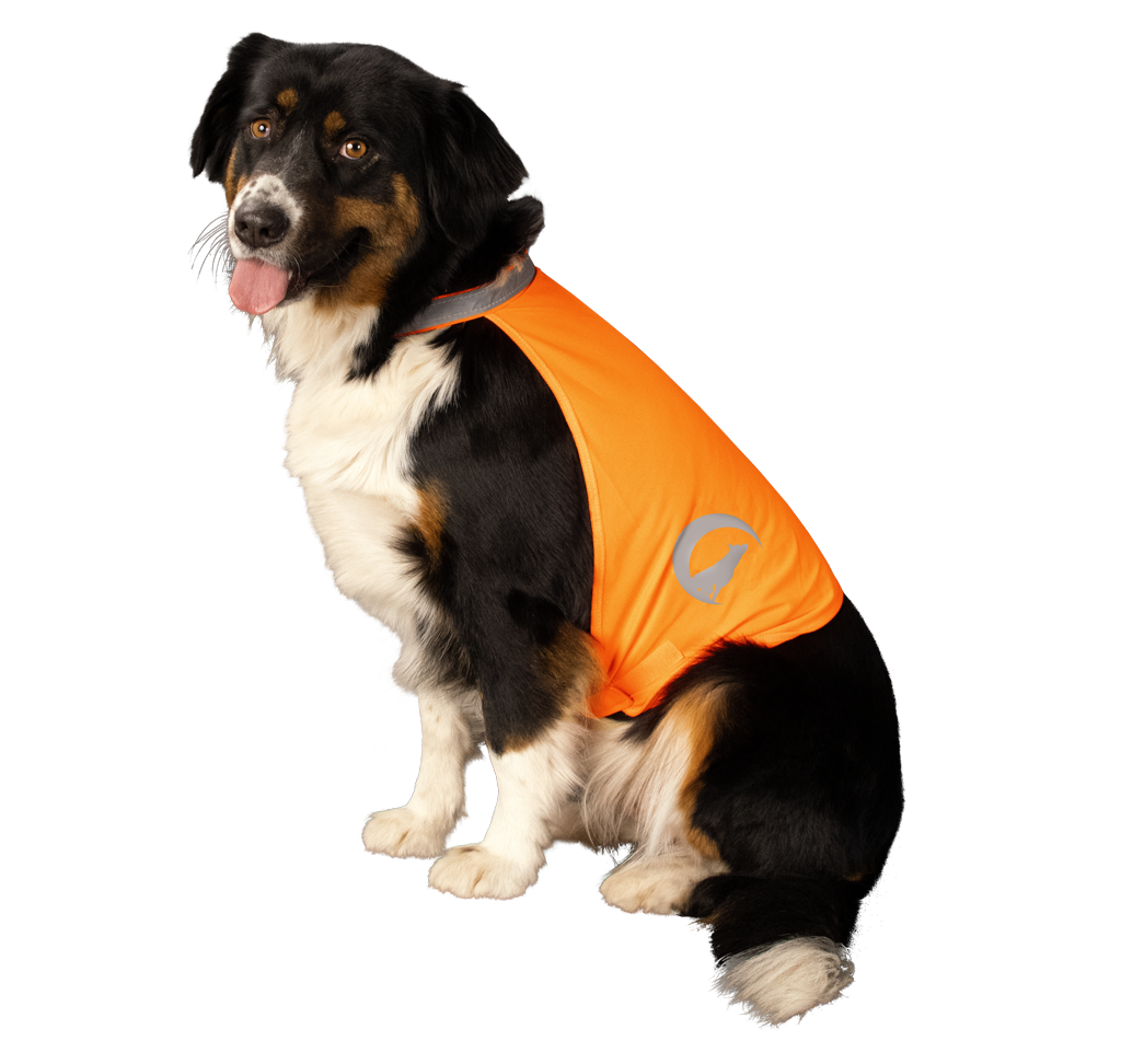 Nightwalk Safety Vest