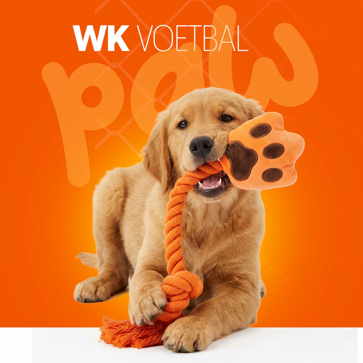 Oranje High Five