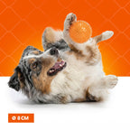 Oranje WK Egelbal M