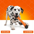 Oranje WK Apporteerstick S