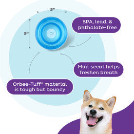 Outward Hound Orbee-Tuff Snoop