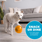 Outward Hound Orbee-Tuff Snoop Oranje L