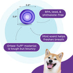Outward Hound Orbee-Tuff Snoop Paars M