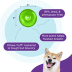 Outward Hound Orbee-Tuff Snoop Grün L