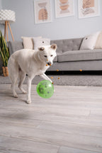 Outward Hound Orbee-Tuff Snoop Grün L