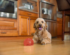 Outward Hound Orbee-Tuff Snoop Red S
