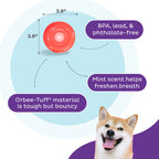 Outward Hound Orbee-Tuff Snoop Red S