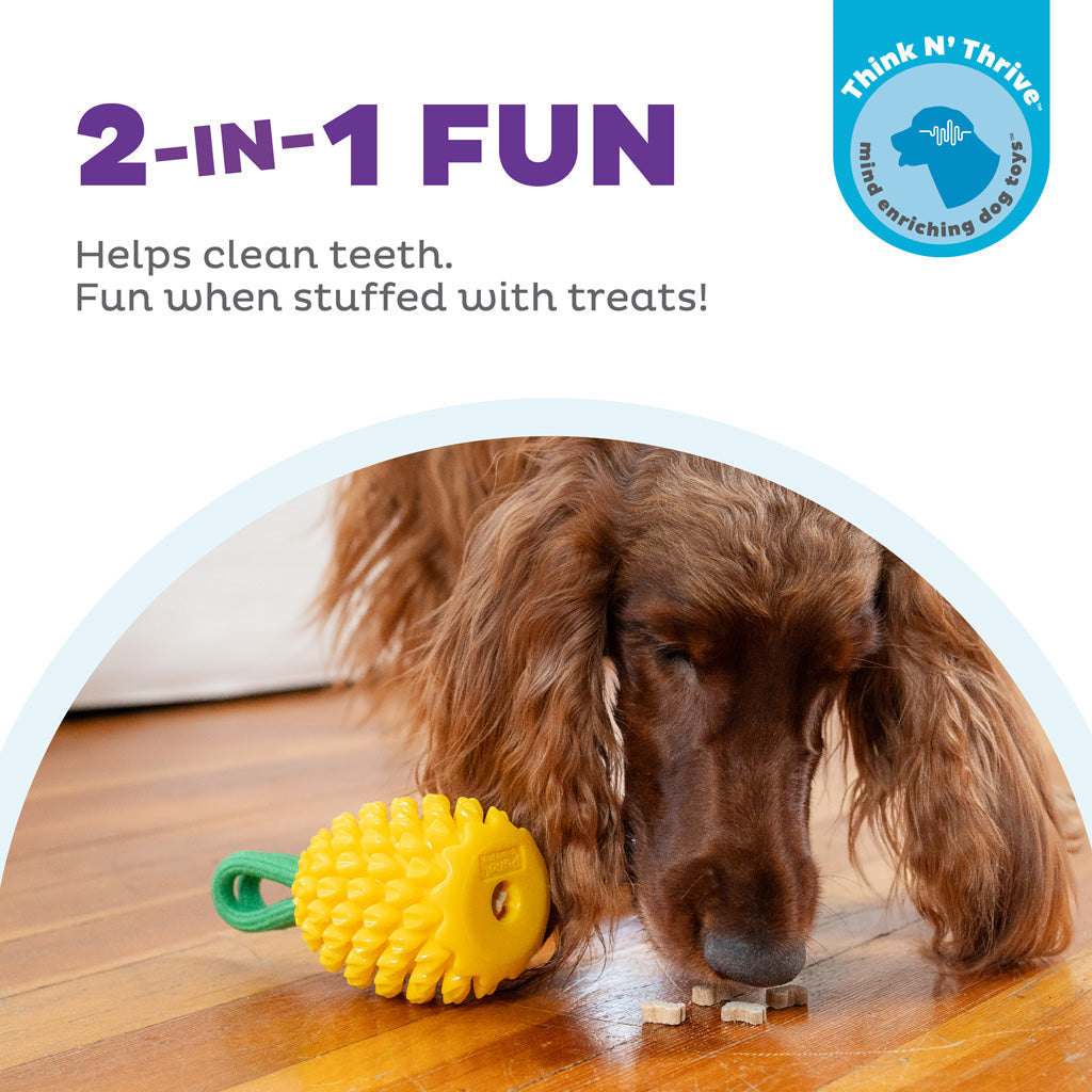 Outward Hound Dental Pineapple