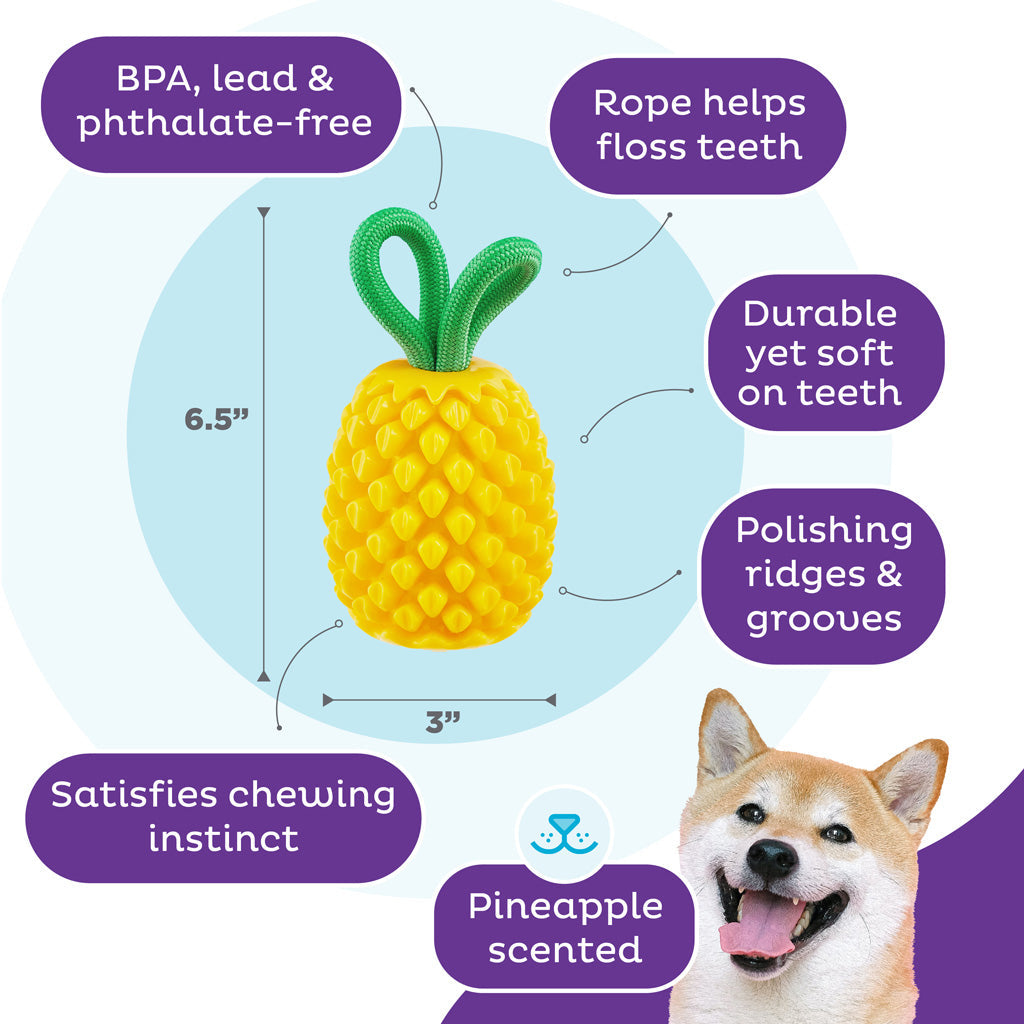 Outward Hound Dental Pineapple