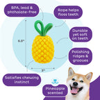 Outward Hound Dental Pineapple