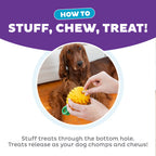 Outward Hound Dental Pineapple