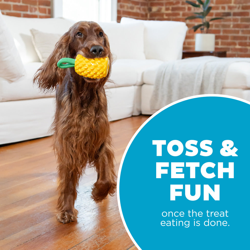 Outward Hound Dental Pineapple