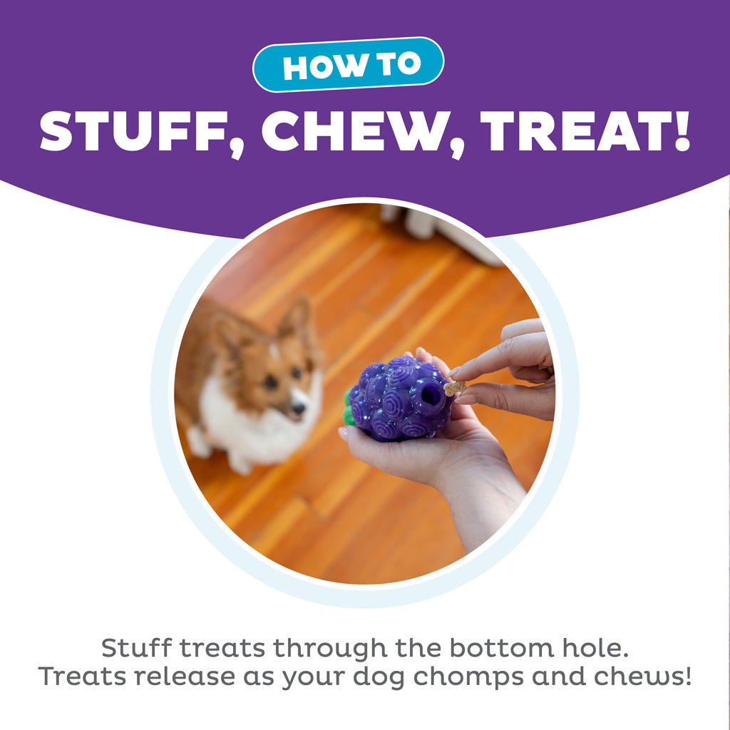 Outward Hound Dental Grapes