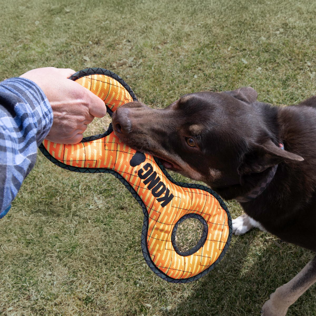 KONG Armor Double Tug Assorted