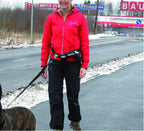 Pawise Hands Free Doggy Jogger Kit