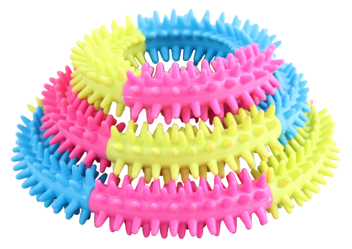 Pawise Rainbow World Ring