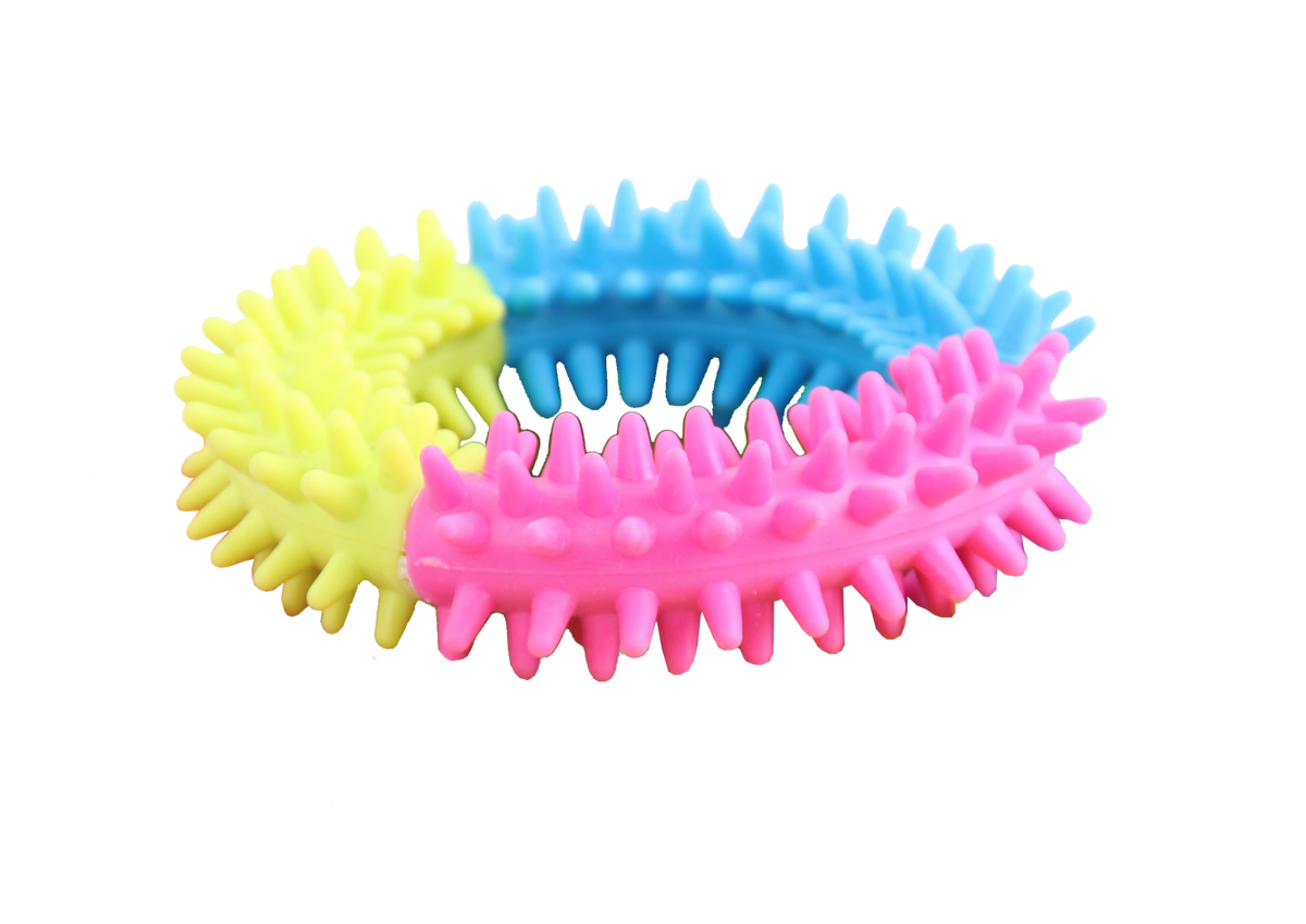 Pawise Rainbow World Ring