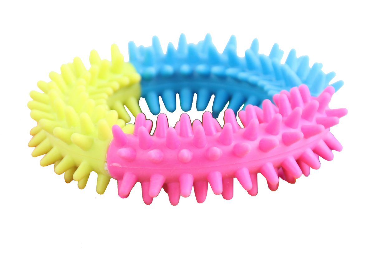 Pawise Rainbow World Ring