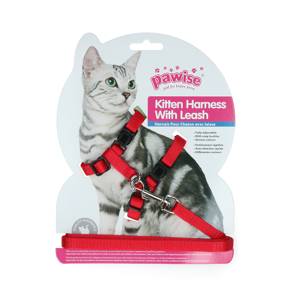 Pawise Kitten Harness With Leash Red/Blue