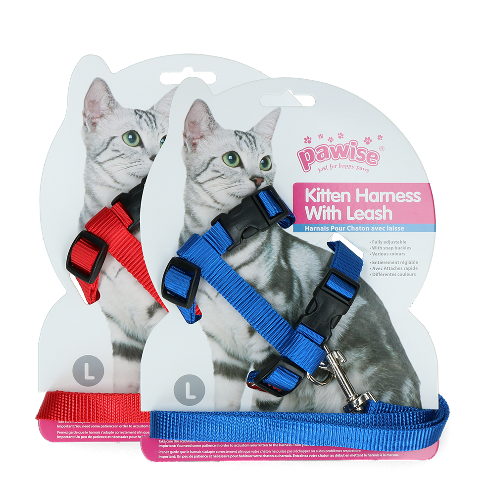 Pawise Kitten Harness With Leash Red/Blue