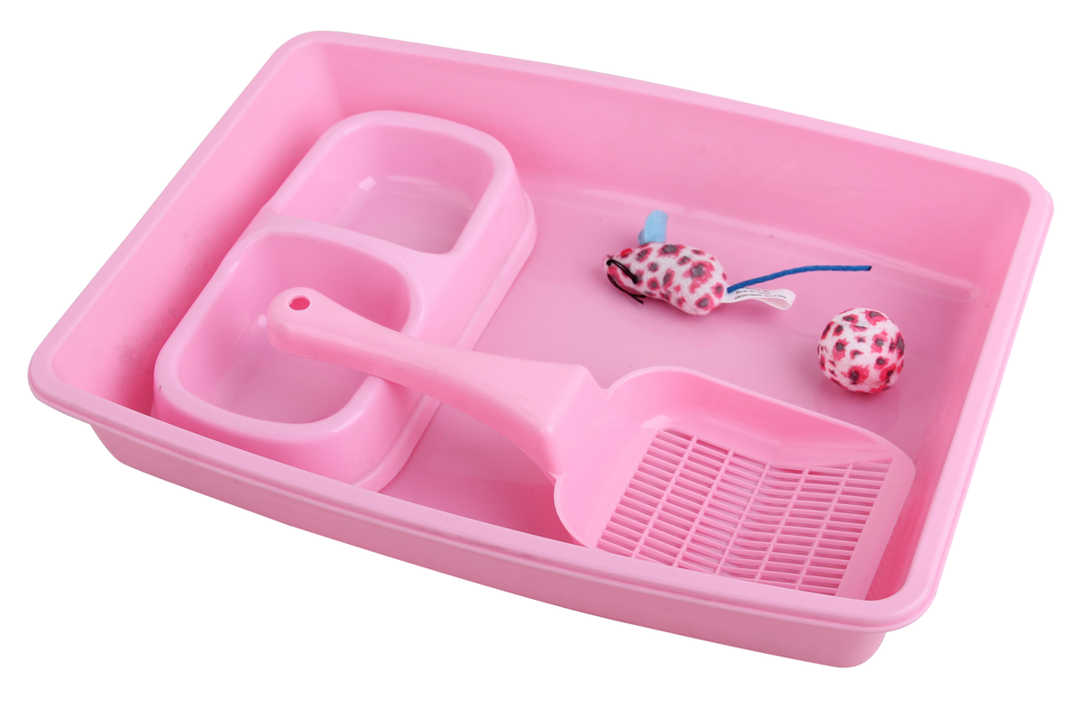 Pawise Kitten Starter Set
