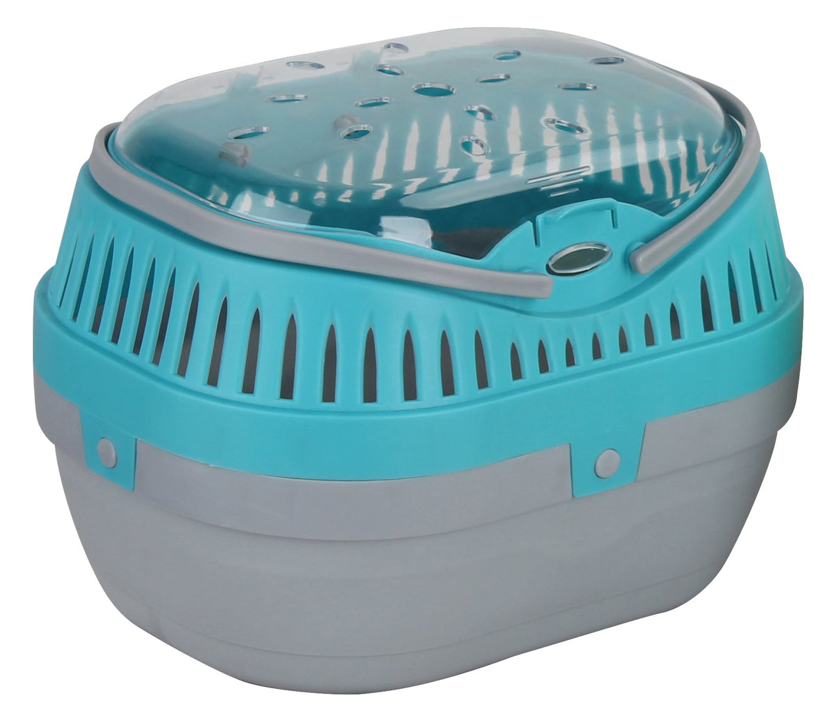 Pawise Small Pet Carrier