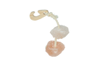 Pawise Himalayan Salt On A Rope