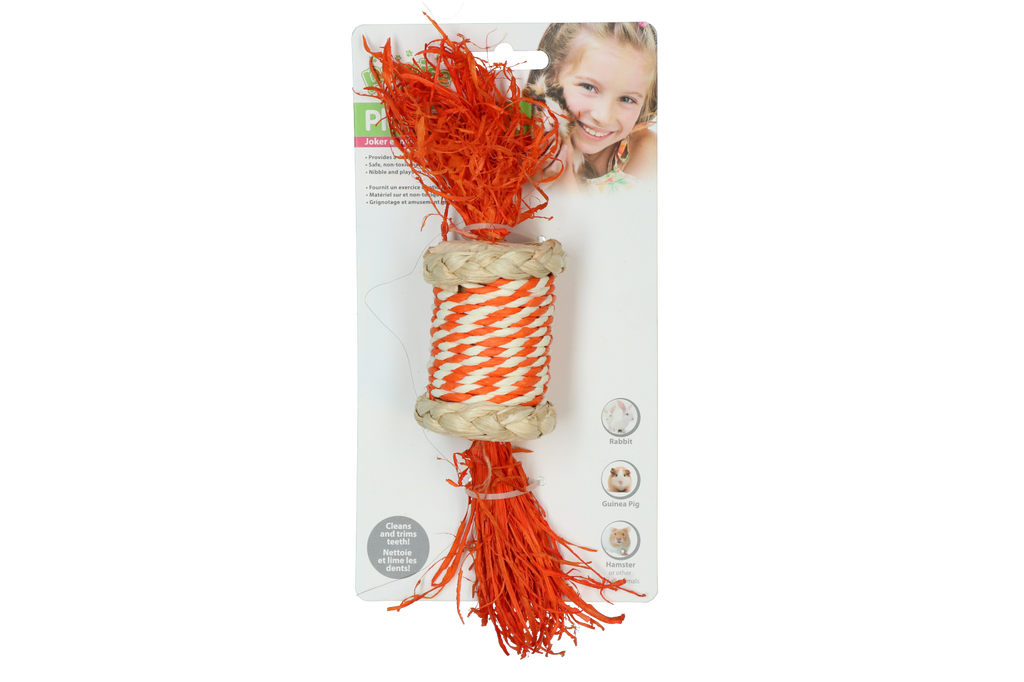 Pawise Play & Chew Candy Standaard
