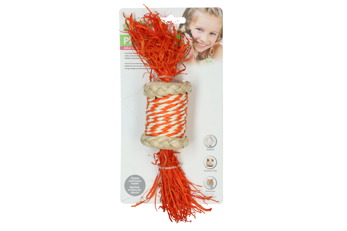 Pawise Play & Chew Candy Standaard