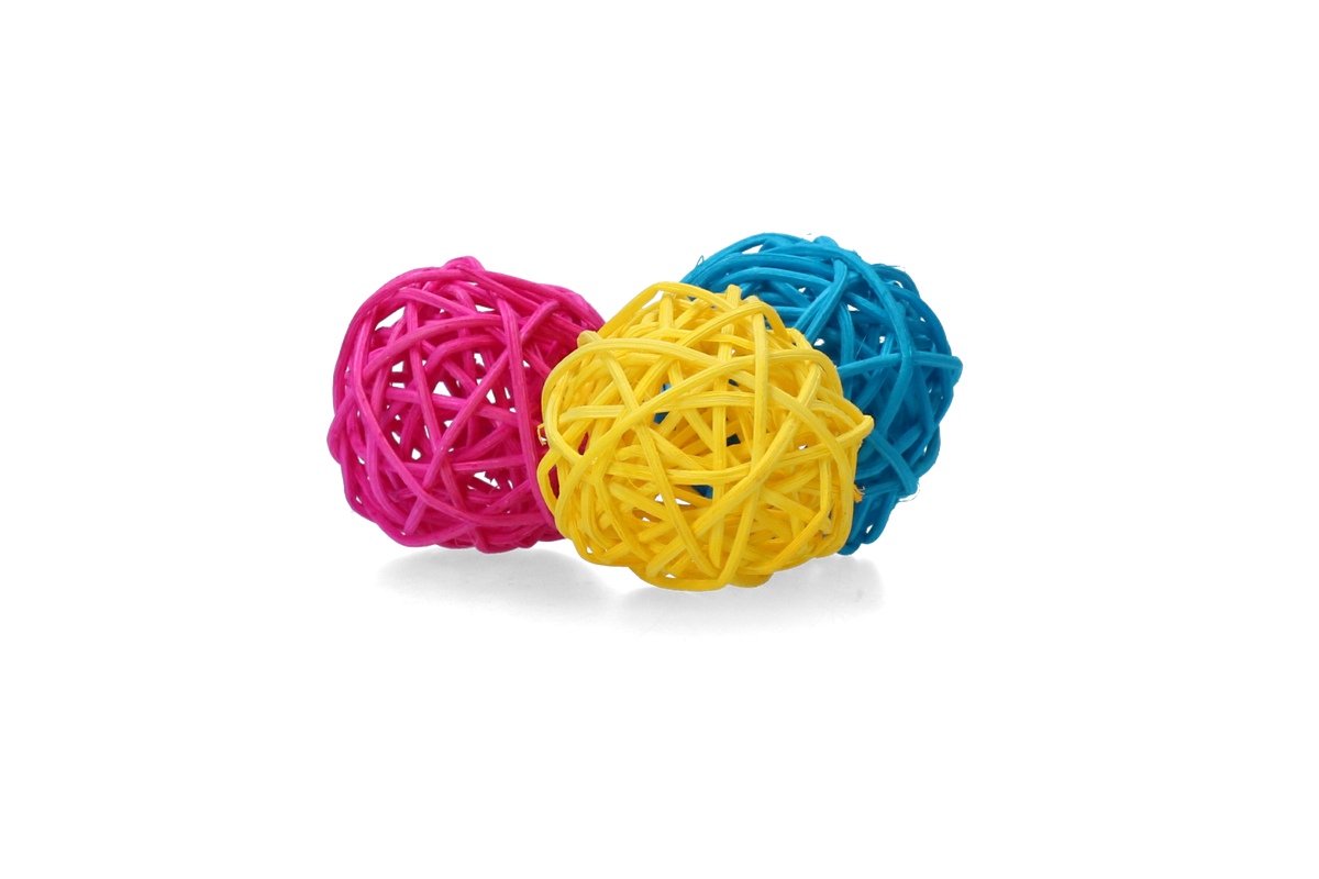 Pawise Play & Chew Balls Standaard