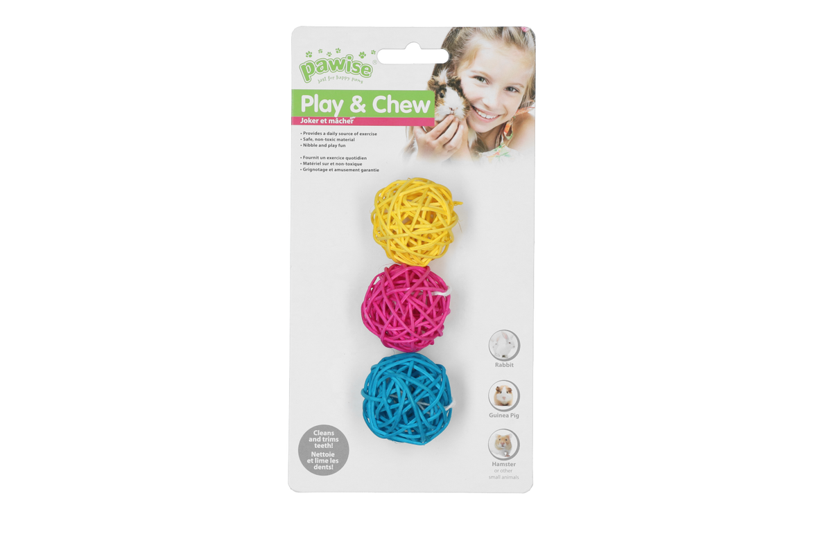 Pawise Play & Chew Balls Standaard