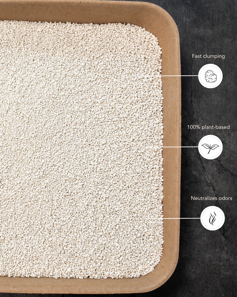 PETLUX Cassava Tofu Katzenstreu 3,5 kg